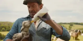 Hugh Jackman em A Lei do Rebanho