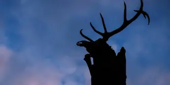 Crítica de Extermínio: O Templo dos Ossos