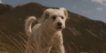 Supergirl ganha teaser com cenas inéditas de Krypto e Lobo