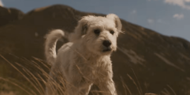 Supergirl ganha teaser com cenas inéditas de Krypto e Lobo