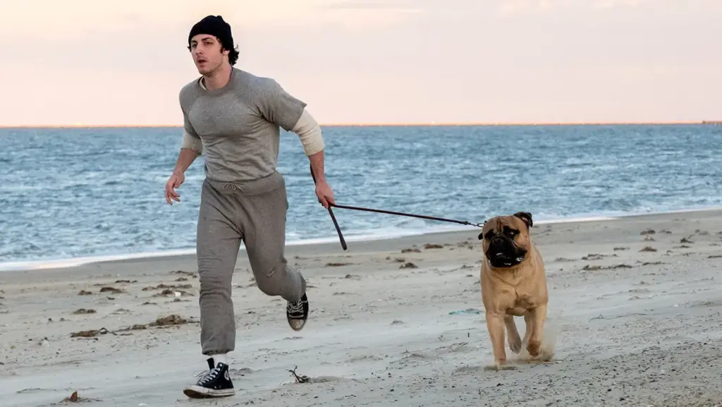 I Play Rocky
