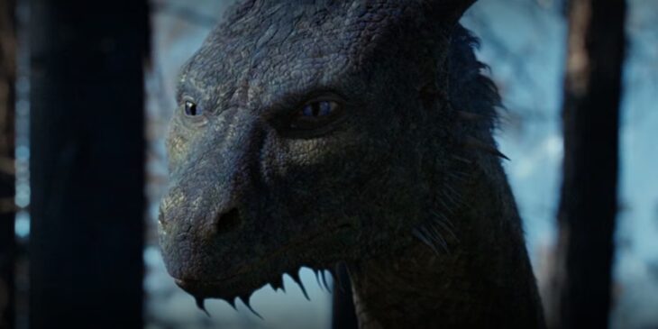Série de Eragon