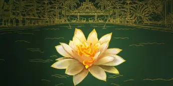 The White Lotus