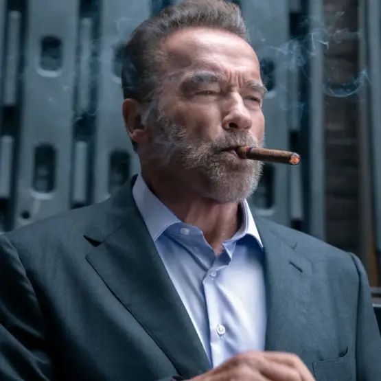 Arnold Schwarzenegger na série FUBAR