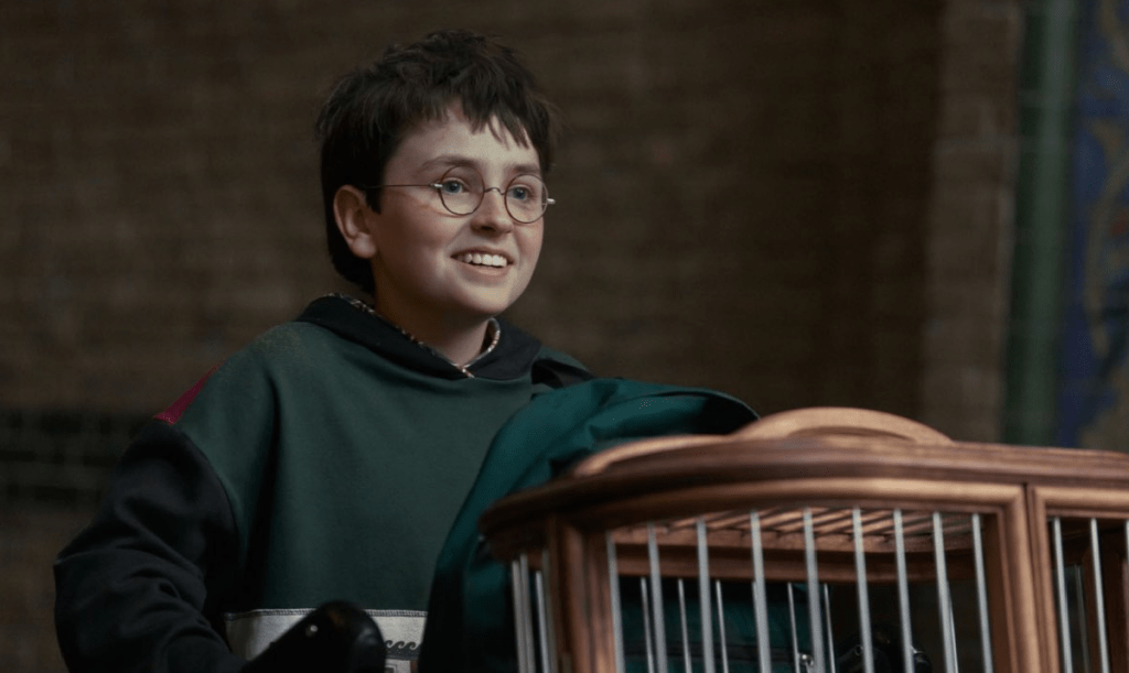 Harry Potter: HBO oficializa 2ª temporada da série e adiciona novo showrunner