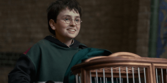 Harry Potter: HBO oficializa 2ª temporada da série e adiciona novo showrunner