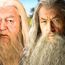 Dumbledore vs Gandalf