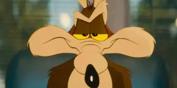 Willy Coiote em Coiote vs Acme