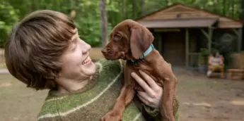 Salsicha (Tanner Hagen) com o filhote de dogue alemão Scooby na série Scooby-Doo: A Origem