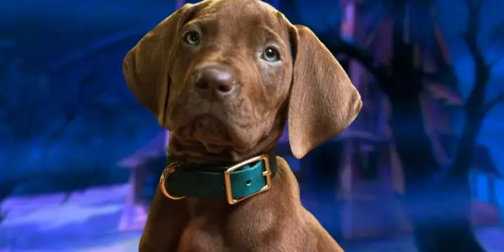 Scooby-Doo na série da Netflix, A Origem