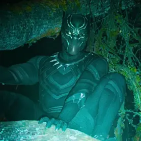 Pantera Negra nos limites de Wakanda