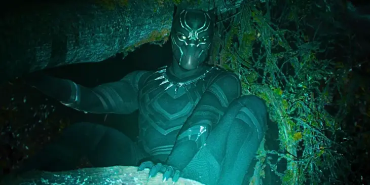 Pantera Negra nos limites de Wakanda