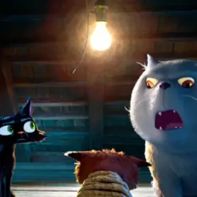 Gatto, próxima animação da Pixar