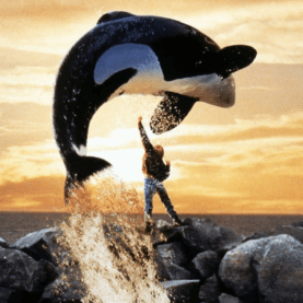 Free Willy ganhará remake na Warner com produção dos Irmãos Russo