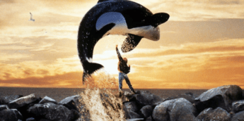 Free Willy ganhará remake na Warner com produção dos Irmãos Russo