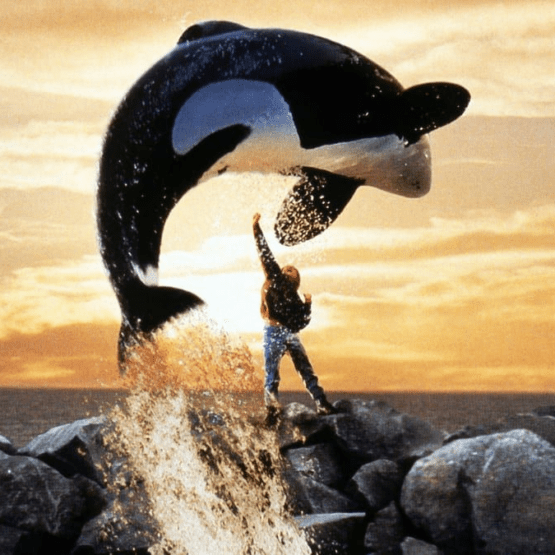 Free Willy ganhará remake na Warner com produção dos Irmãos Russo