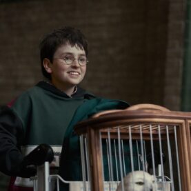 Série de Harry Potter, da HBO