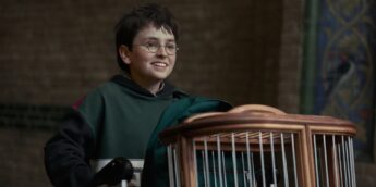 Série de Harry Potter, da HBO
