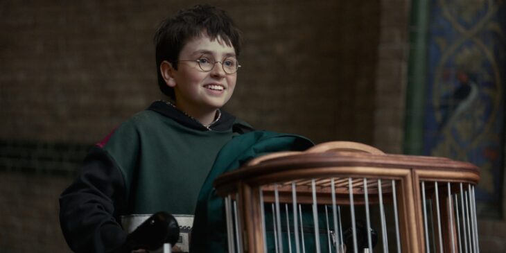 Série de Harry Potter, da HBO