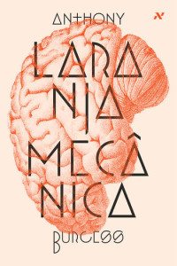 rsz_laranja