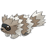 zigzagoon